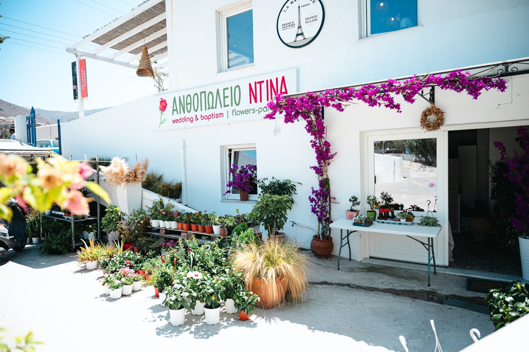 Flowers Paros ανθοπωλείο